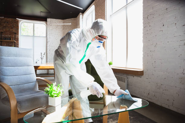 Best Emergency Mold Remediation  in USA